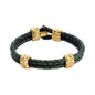 CASSIA GOLD